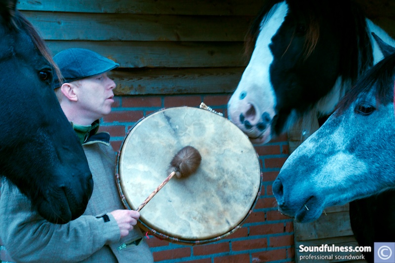 Coen playing a large frame drum surrounded by three curious horses at a stable